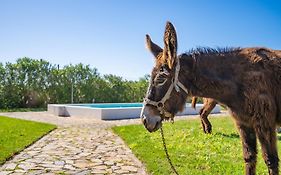 Burro Ville By Host Wise